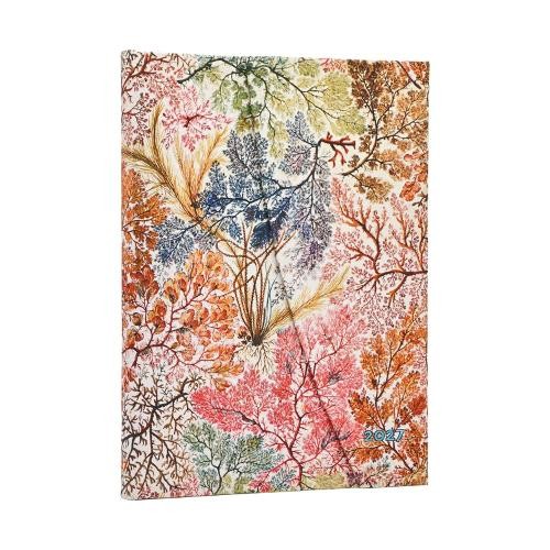 2027 anemone - anemone, (william