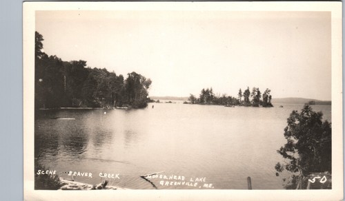 Moosehead lake beaver - lake, creek