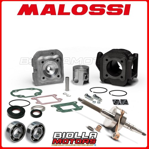 Cylinder kit shaft malossi - cylinder,