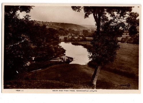 Newcastle emlyn weir - newcastle,