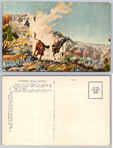 Trapping wild cattle cowboys - trapping,