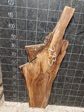 ENGLISH WALNUT SLAB LIVE EDGE KILN DRIED HARDWOOD (283) 1250x260-440 x50mm