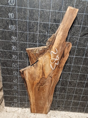 English walnut slab live - slab, edge