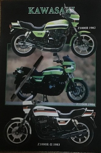 Kawasaki eddie lawson replica - kawasaki,