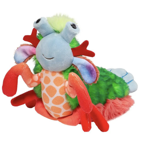 Douglas punchie peacock mantis - douglas,