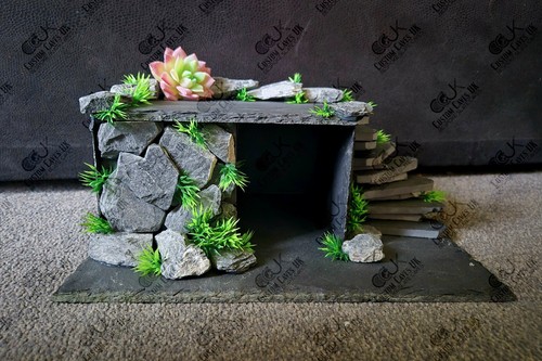 Leopard gecko slate hide - leopard,