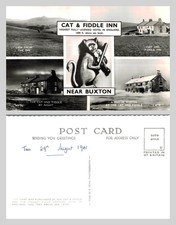 Vintage Postcard - Cat and