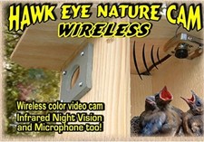 NEW Birdhouse Nature Cam
