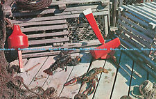 R681738 Boston. Mass. Live Lobsters and Lobster Traps. Bromley and Company