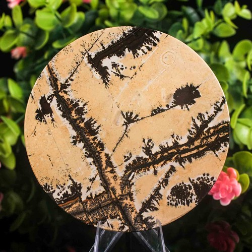 150g 93mm picture jasper slab - 150g,