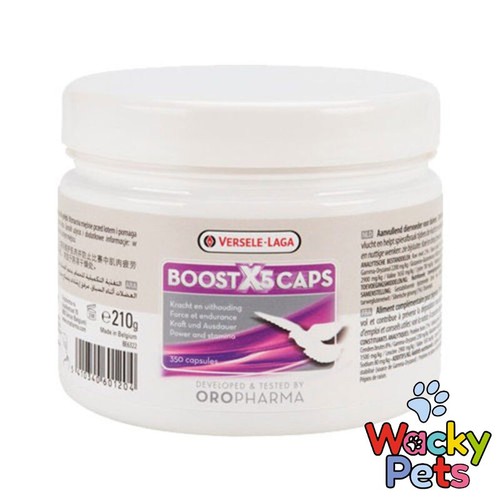 Racing pigeon supplement - pigeon,