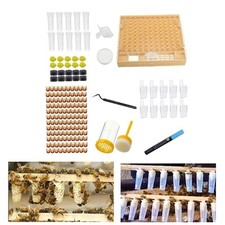Bee queen rearing grafting kit - bee,