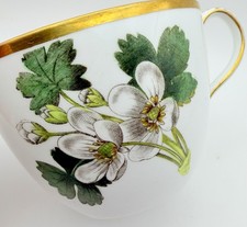 Antique 1815 Wedgwood