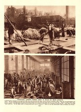 "Tanning in Bermondsey