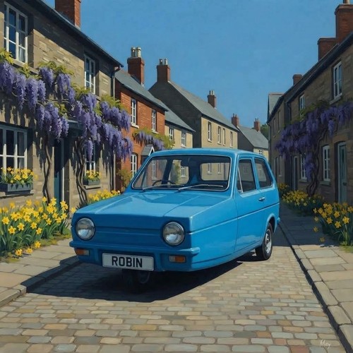 Reliant robin classic car - reliant,