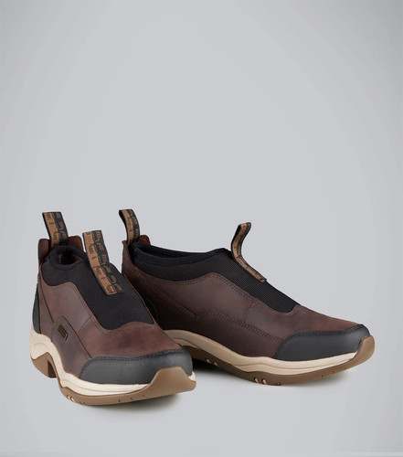 Premier equine vinci - premier,