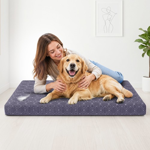 Large orthopaedic dog bed - orthopaedic,