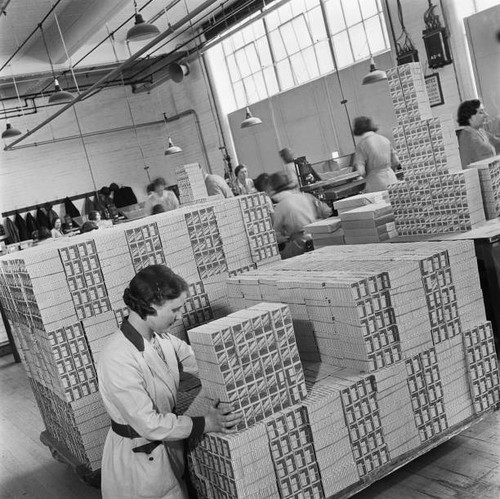 Female workers package - , up