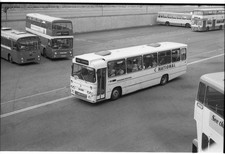 35mm black and white - black, negative
