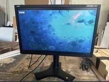 Nec  Monitor 24.1 Inch