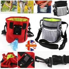 Dog Walking Training Obedience