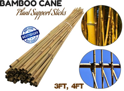 Bamboo canes thick garden - bamboo,