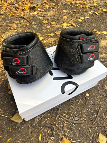 Cavallo black hoof - cavallo,