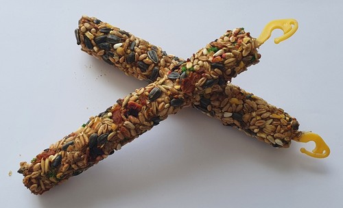 Bird food parrots egg - parrots, and