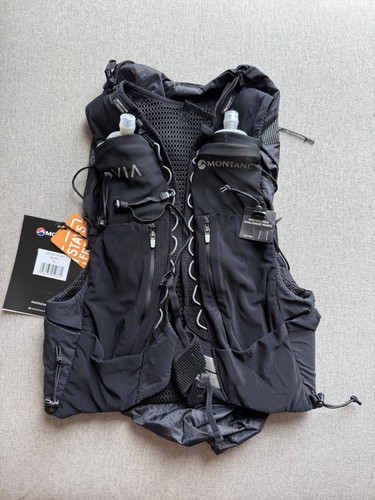 Montane gecko running - montane, vp