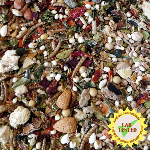 Hammykins syrian seed mix - hammykins,