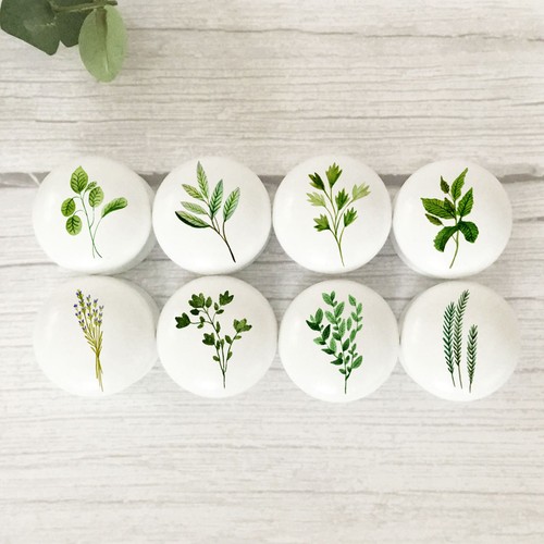 Herb furniture knobs - , handles