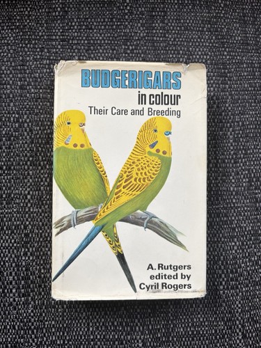Budgerigars colour care - budgerigars, &