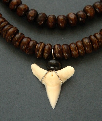 Real shark tooth necklace - real,