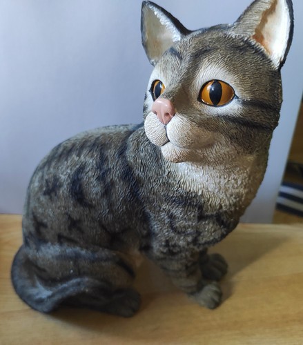 Leonardo sitting tabby cat - tabby,