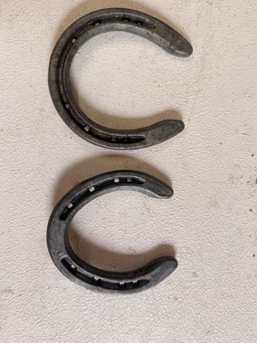 100 new horse shoes for - , table