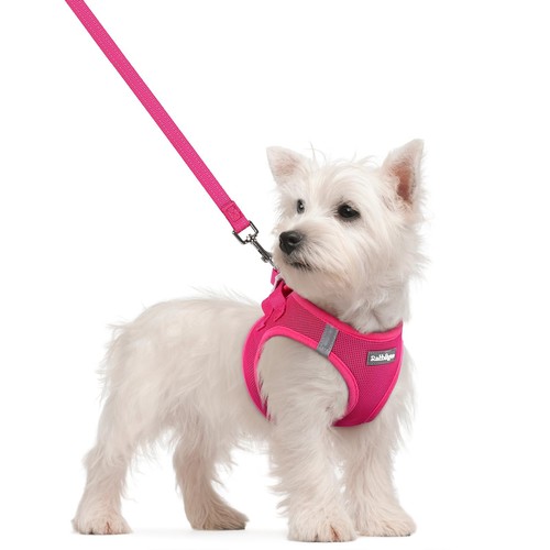 Rabbitgoo dog harness small - rabbitgoo,
