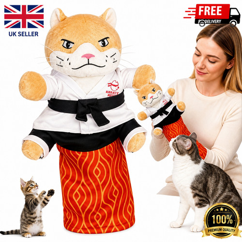Karate kitty cat wrestling - cat,