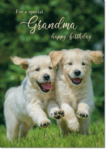Doodlecards grandma birthday - doodlecards,