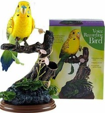 Yellow Talk Back Voice