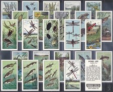 BISHOPS STORTFORD DAIRY