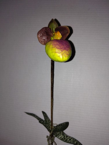 Mini artificial paphiopedilum - mini,