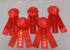 5‑Pack SECOND Place Rosette