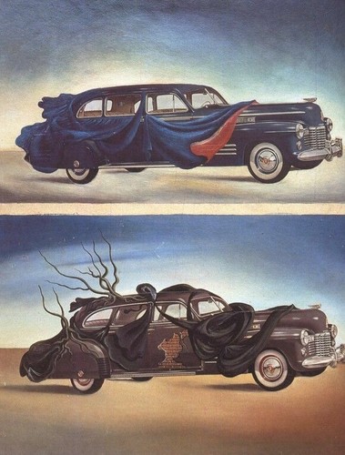 Car clothing salvador - clothing,