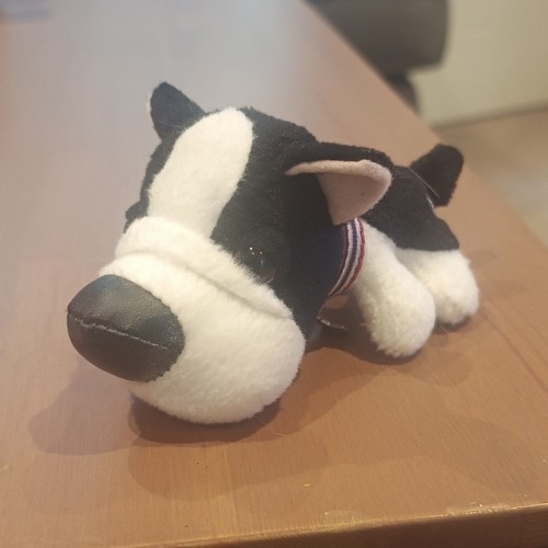 Original the dog - dog, magazine