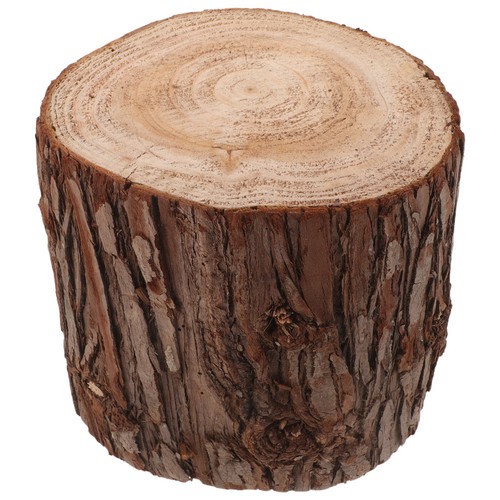 Natural tree stump decor - stump,