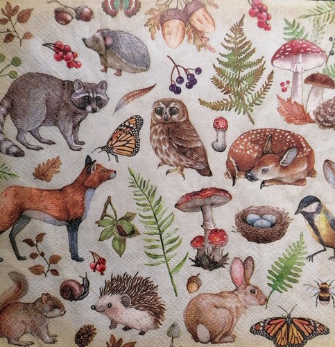 Single paper napkins for - paper,
