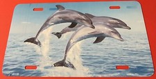 Dolphins Novelty License Plate