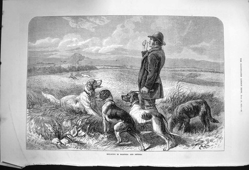 Breaking pointers setters dogs - breaking,