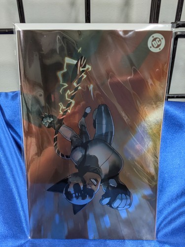 Absolute catwoman cover - catwoman, e