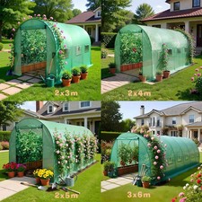 Birchtree polytunnel fully - polytunnel,